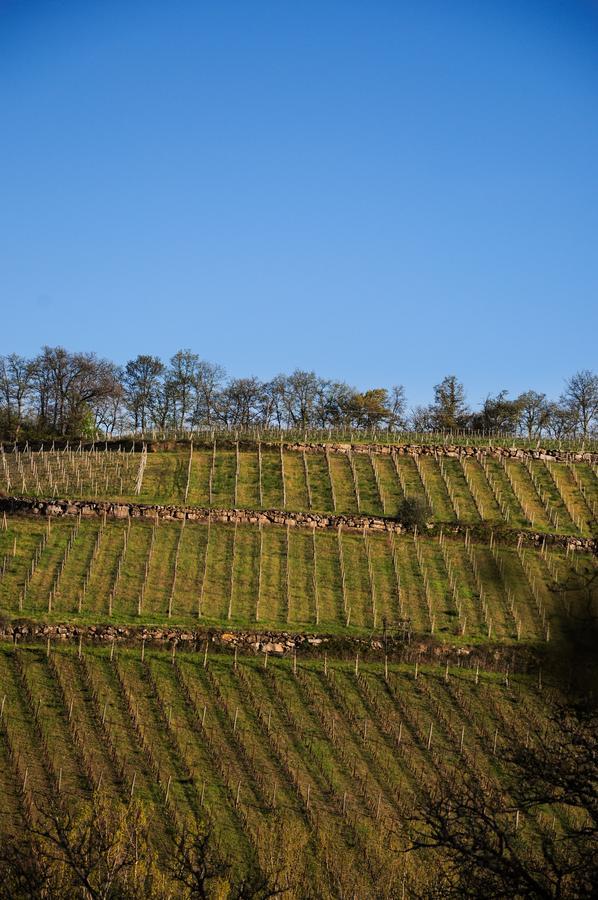 B&B Fagiolari Greve in Chianti Eksteriør bilde